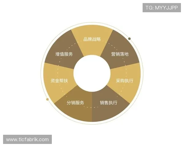 博天堂发布页合作伙伴介绍，展示平台合作企业与资源整合优势