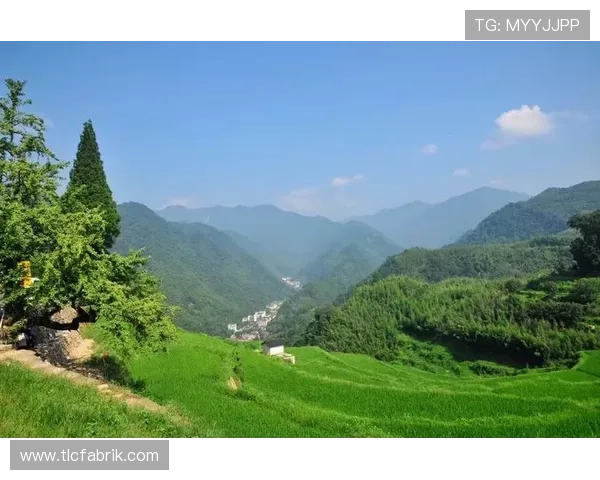 搏天堂官网发布网页详细指南,帮助用户快速了解平台注册与充值流程